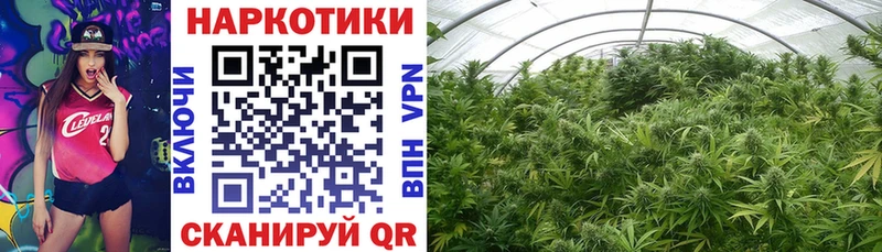 Купить наркотики сайты Шебекино hydra ссылка MDMA ГАШ Галлюциногенные грибы Мефедрон АМФЕТАМИН А ПВП