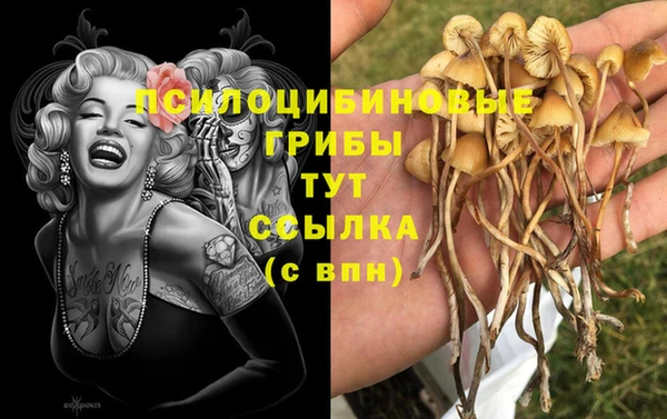 наркотики Алексин