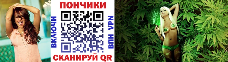 купить наркотики цена  Шебекино  МАРИХУАНА ГИДРОПОН 